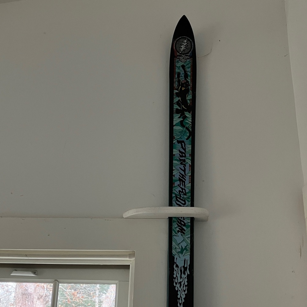 Panther Dream Collectors Item pair of Limited Edition Skis